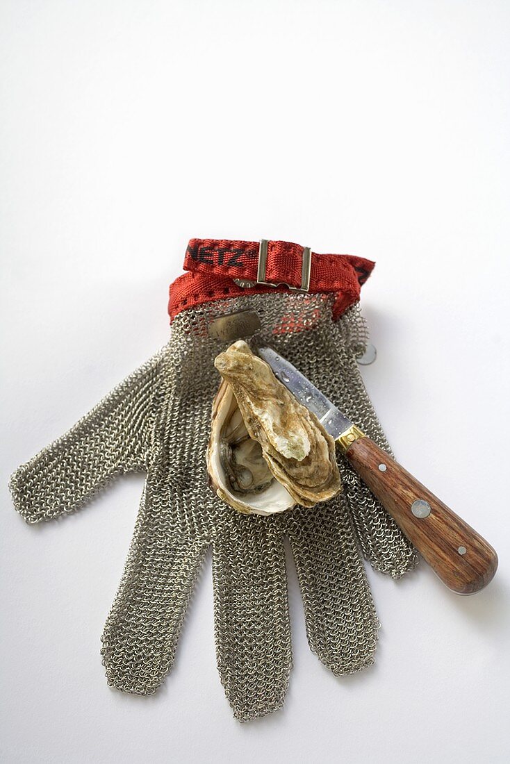 Fresh oyster (opened), oyster glove and knife