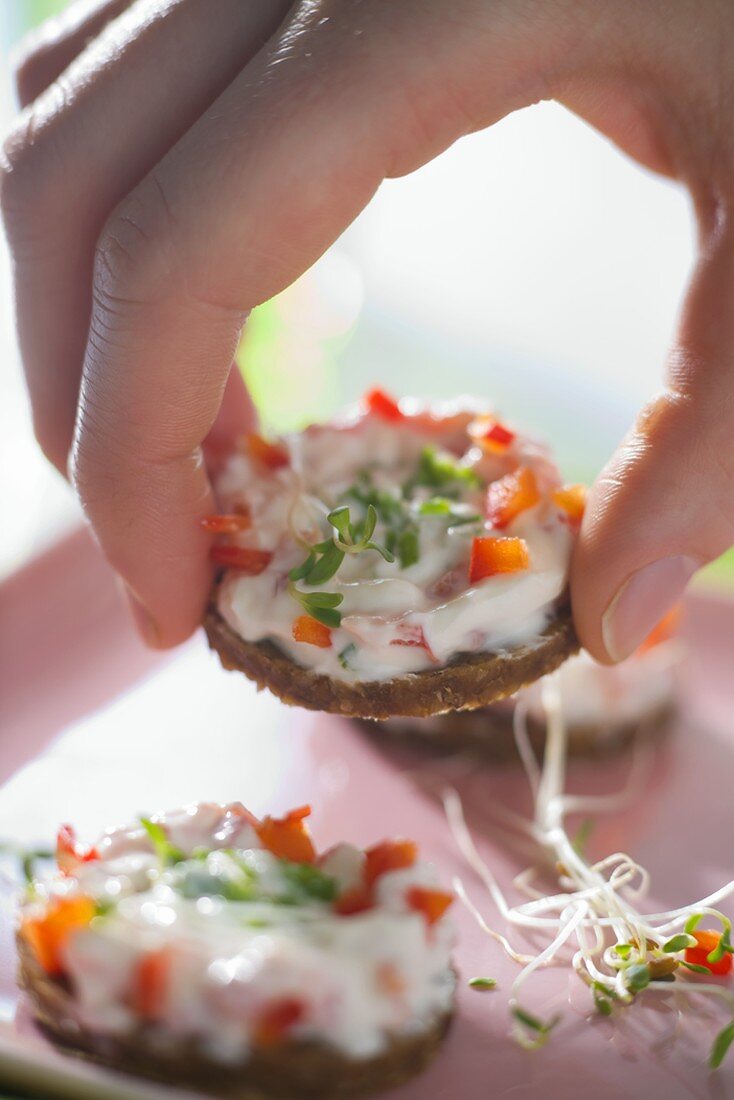 Hand hält Brottaler mit Frischkäse, Paprika und Sprossen