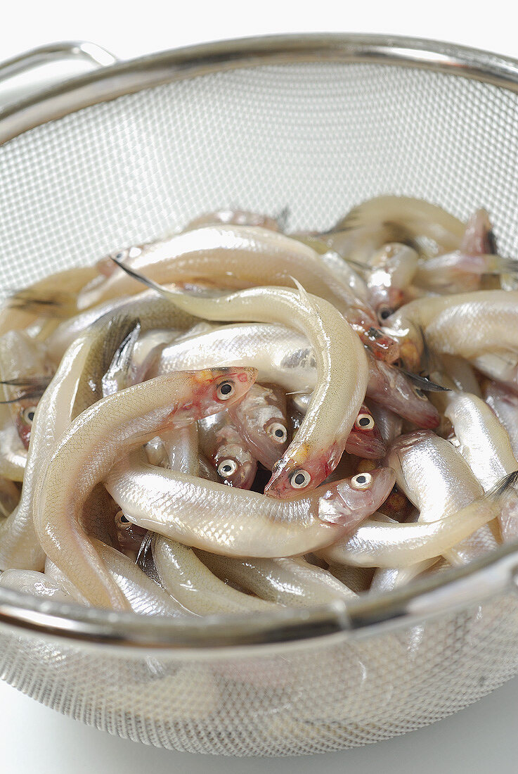 Small fish (smelt) in a sieve