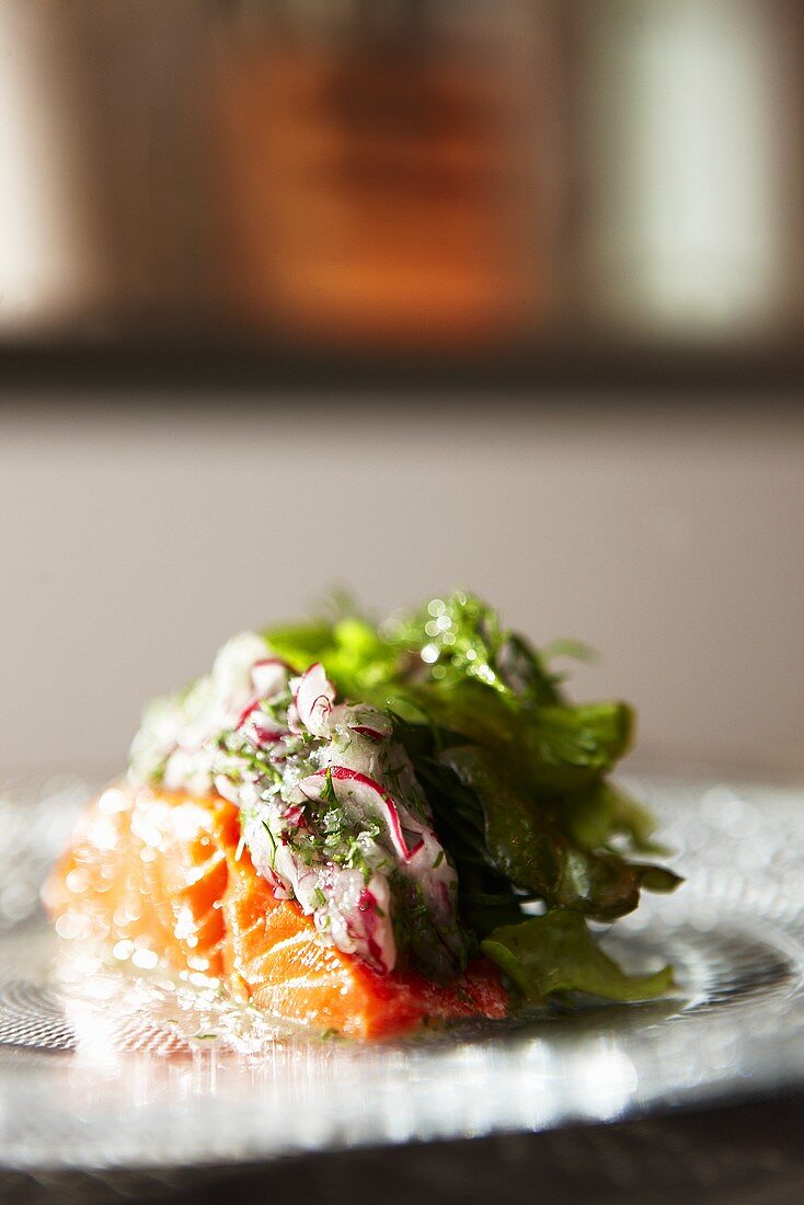 Salmon with salad on glass plate
