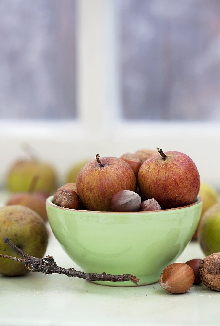 Apples and nuts on a windowsill