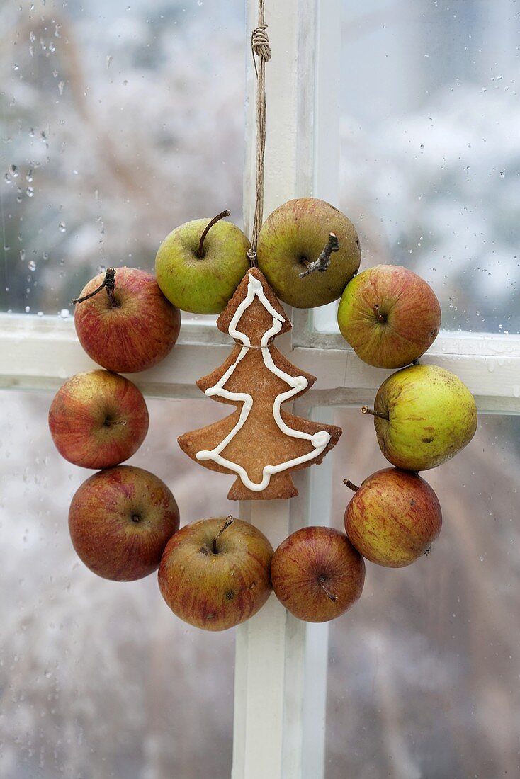 An apple wreath and a Christmas biscuit hanging in the window