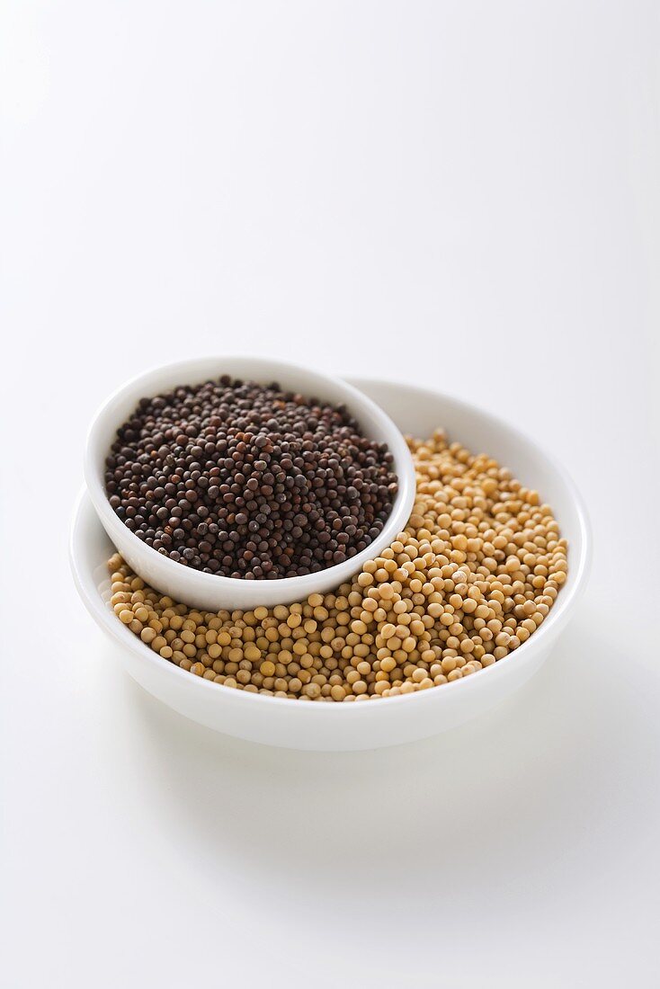 White and brown mustard seeds
