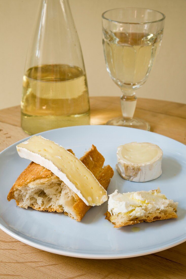 Ziegenkäse und Brie mit Sauvignon Blanc