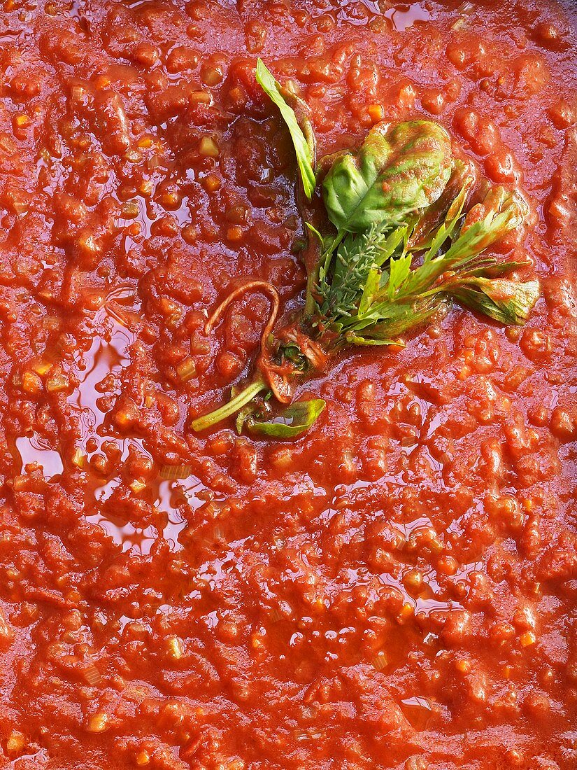 Tomato sauce with a bouquet of herbs