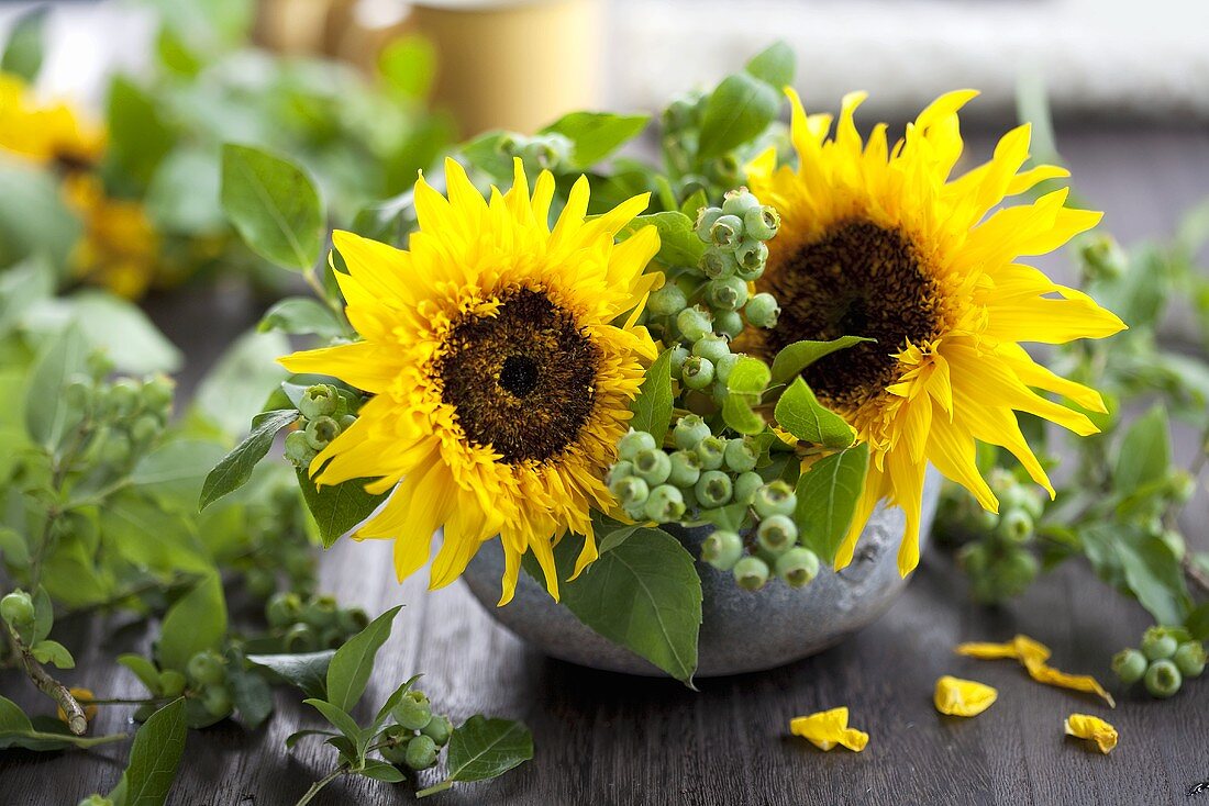 Sonnenblumen und Heidelbeerzweige in Keramikschale