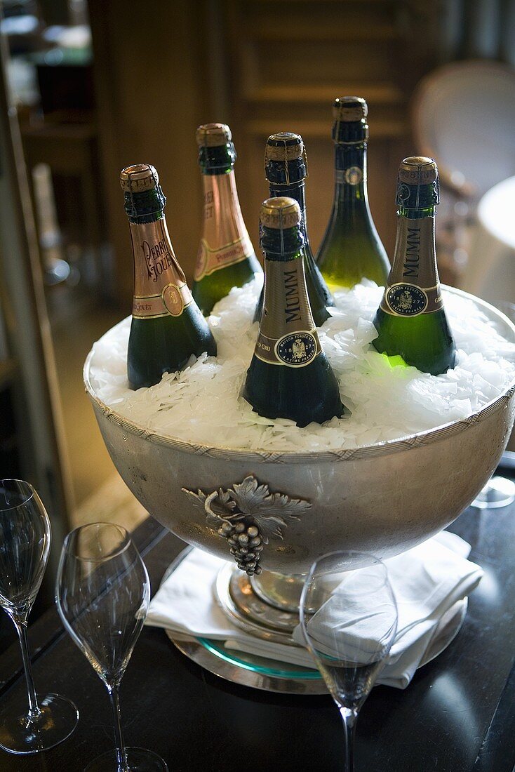 Mehrere Champagnerflaschen in Eis gelühlt