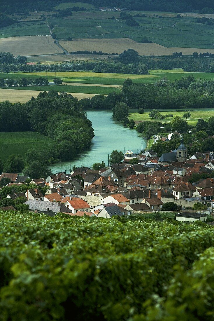 Der Fluss Marne fliesst durch die Champagne, Frankreich