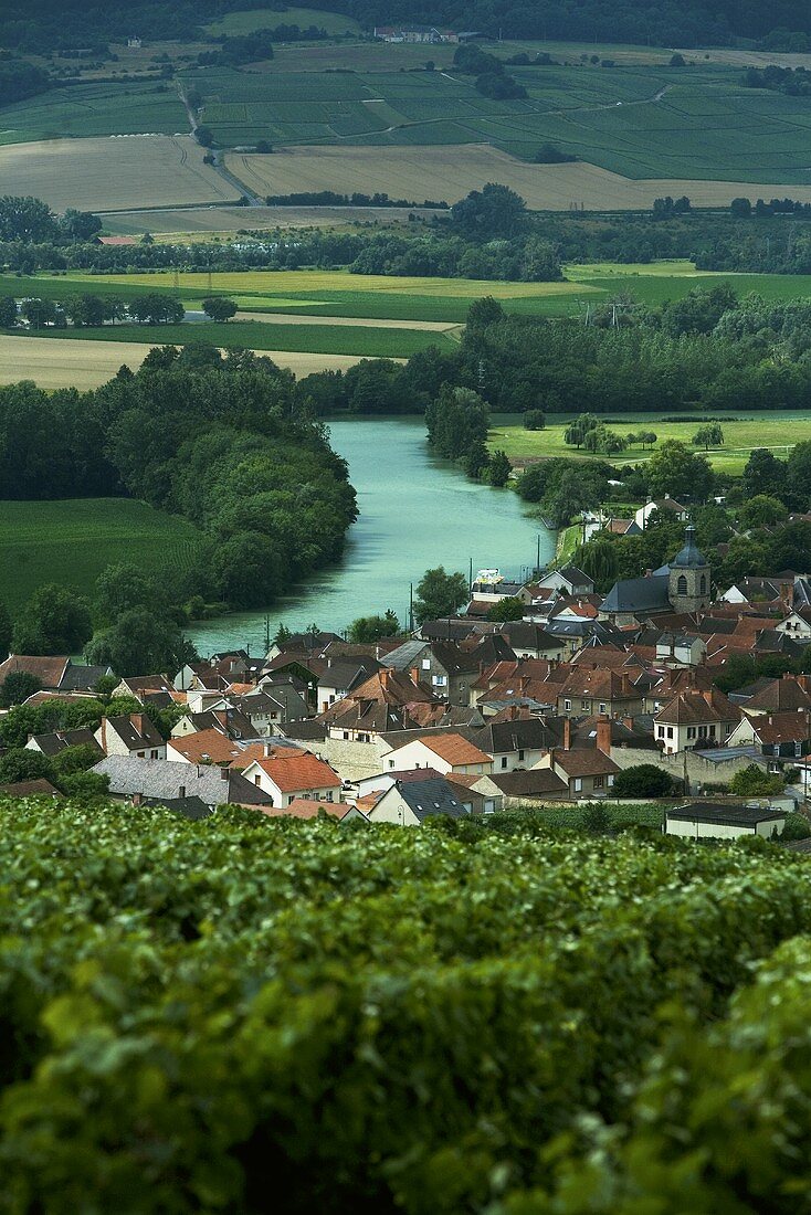 The river Marne flowing through Champagne in France