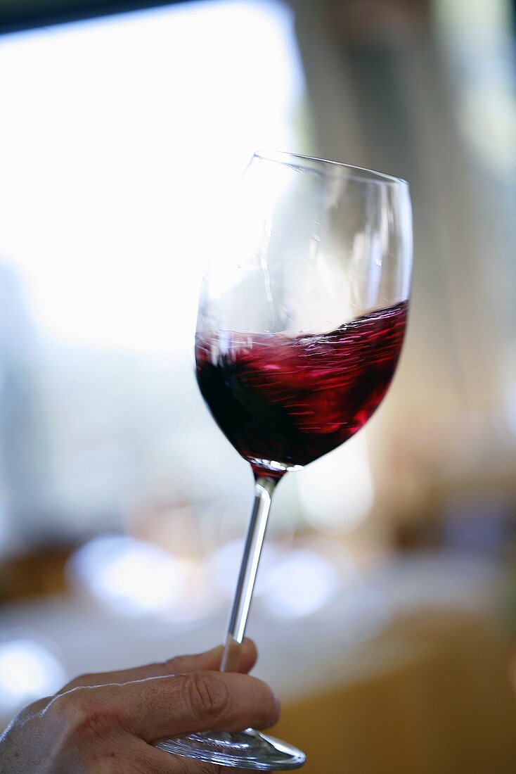 Degustation: swilling red wine in a glass