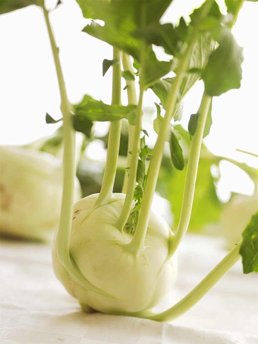 Kohlrabi