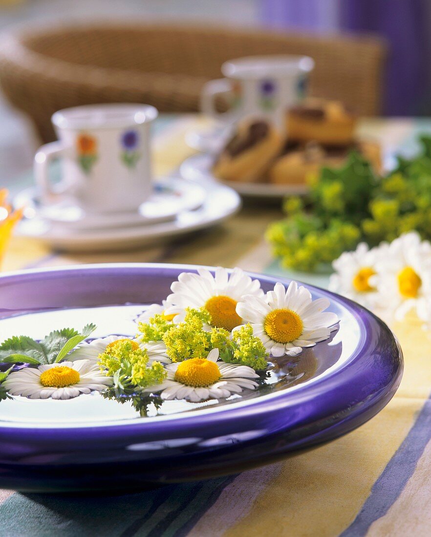 Marguerites and lady's mantle floating in bowl