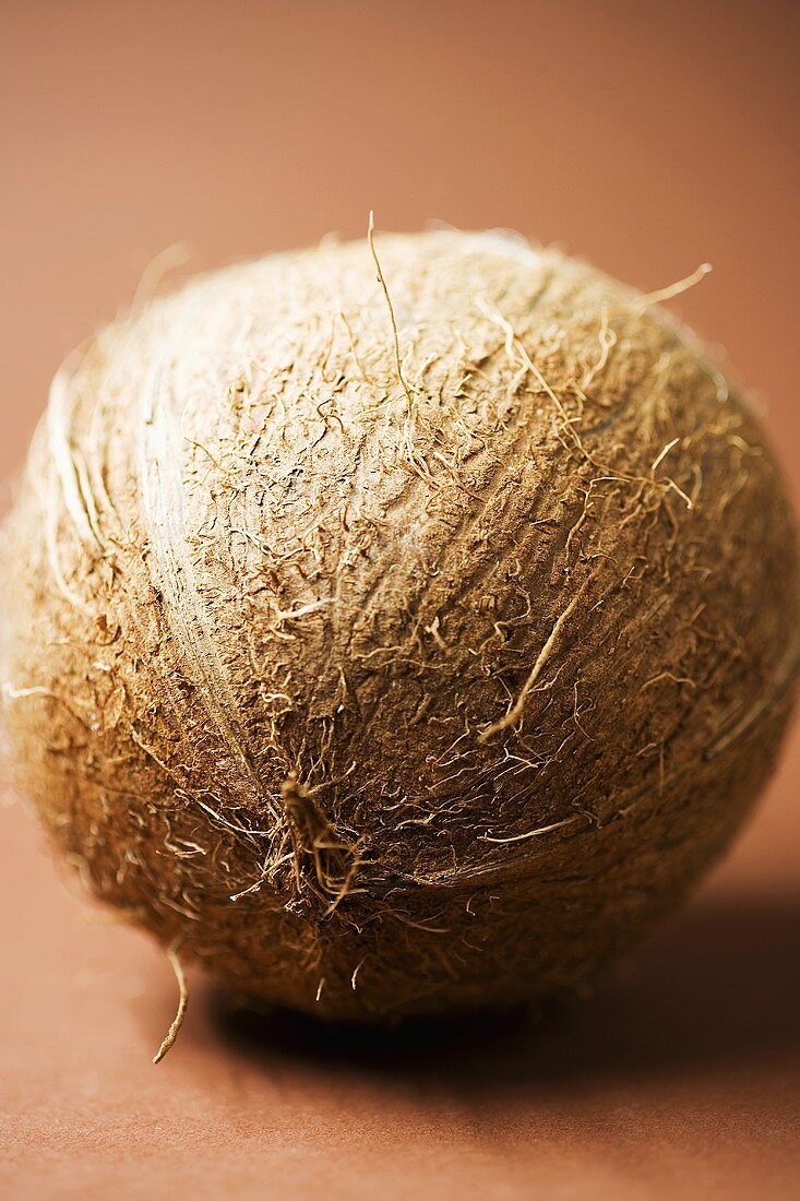 A coconut