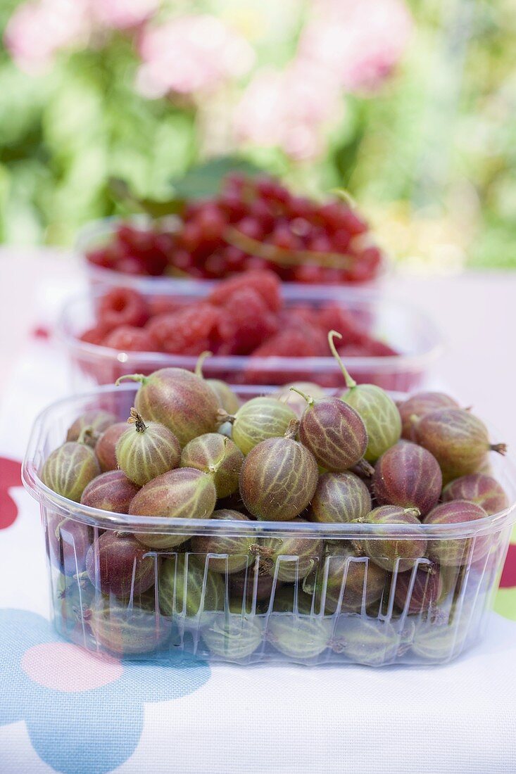 Frische Beeren auf einem Tisch im Garten