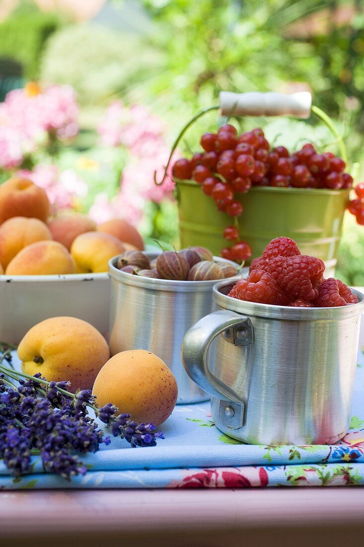 Fresh berries and apricots on a table in a garden