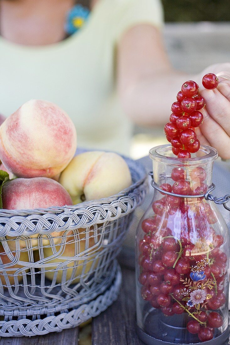 Hand hält Johannisbeeren über eine Flasche, daneben Pfirsiche