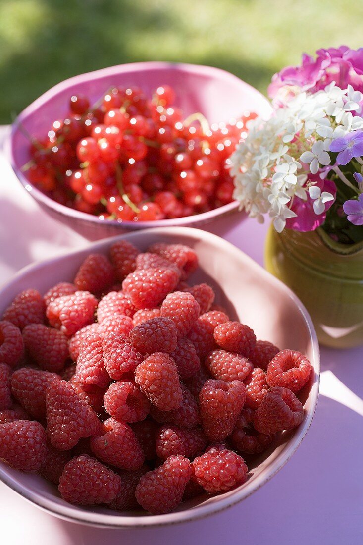 Himbeeren und rote Johannisbeeren auf einem Tisch im Freien