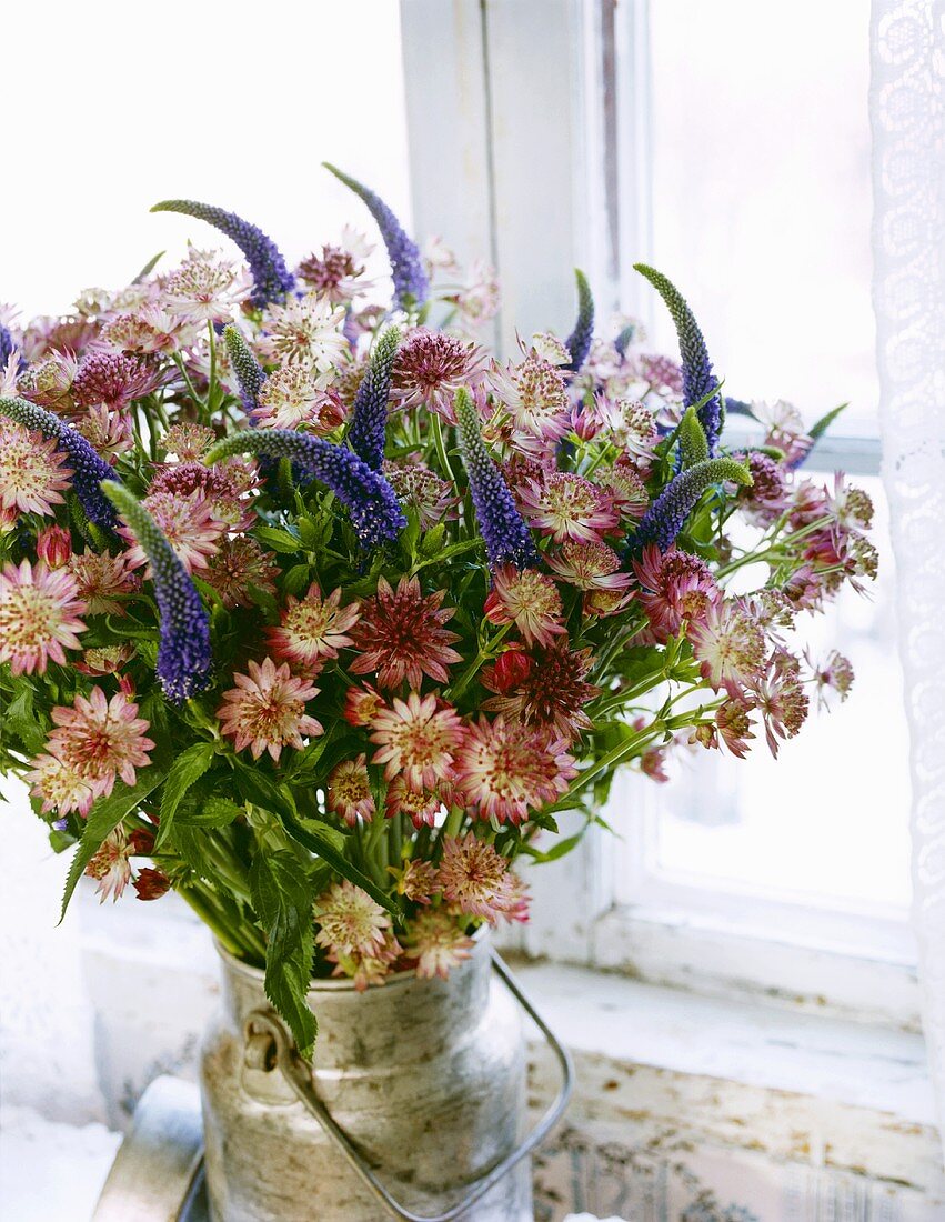 Arrangement of astrantia and veronica in old milk can