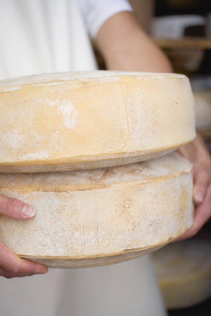 Person holding two large cheeses (Almkäse, Alpine cheese)