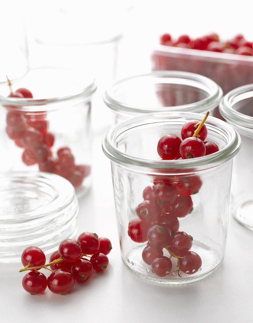 Redcurrants, some in jam jars