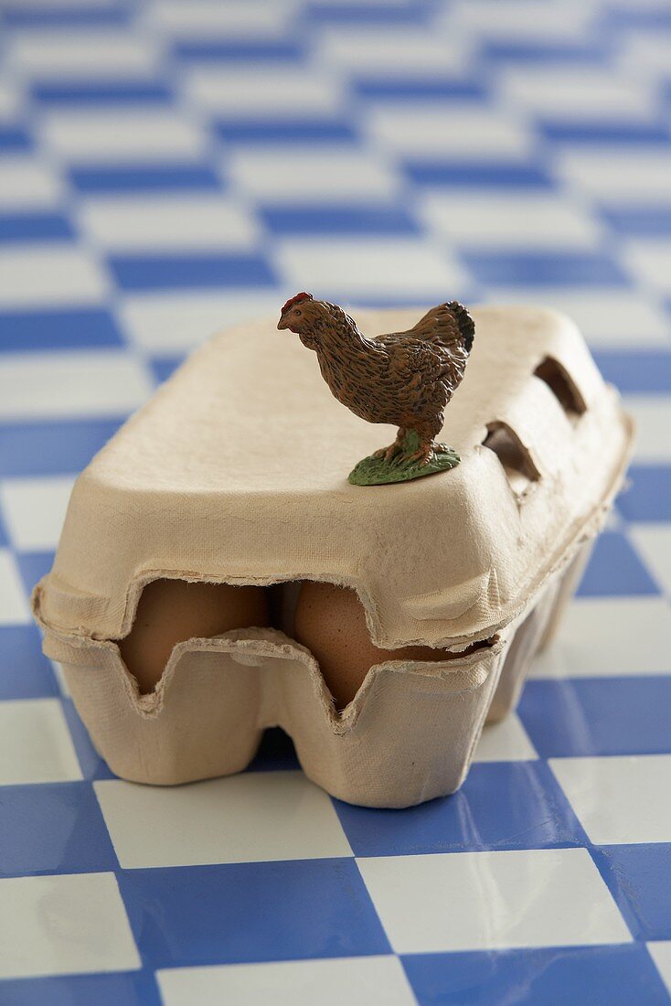 Eggs in egg box with model hen