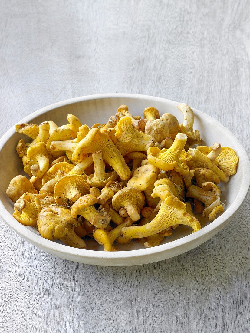 Chanterelles in a dish