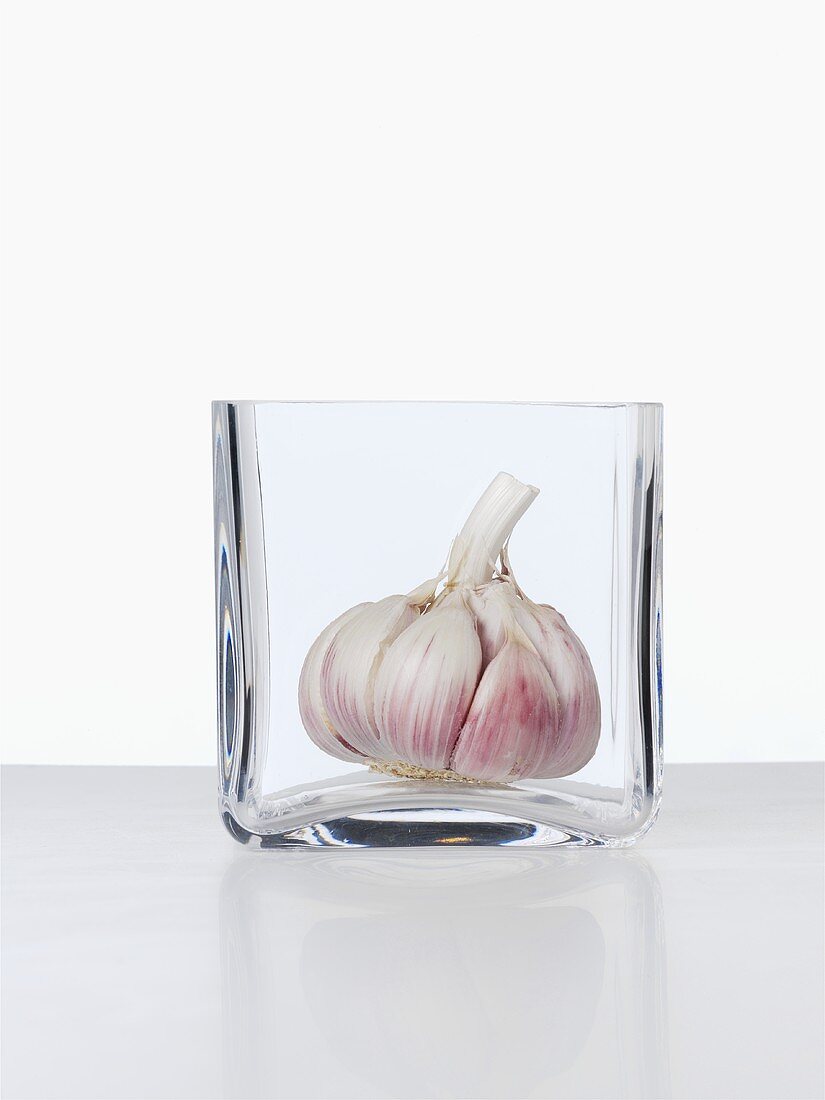 Garlic bulb in glass