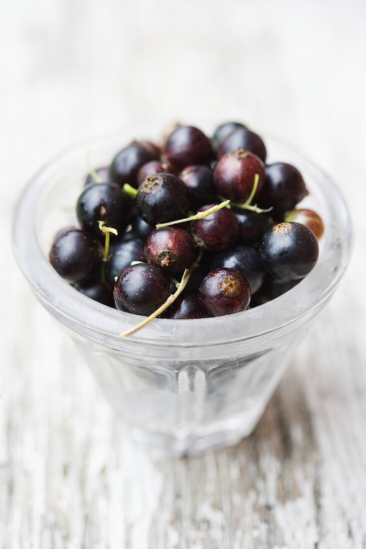 Blackcurrants in glass dish