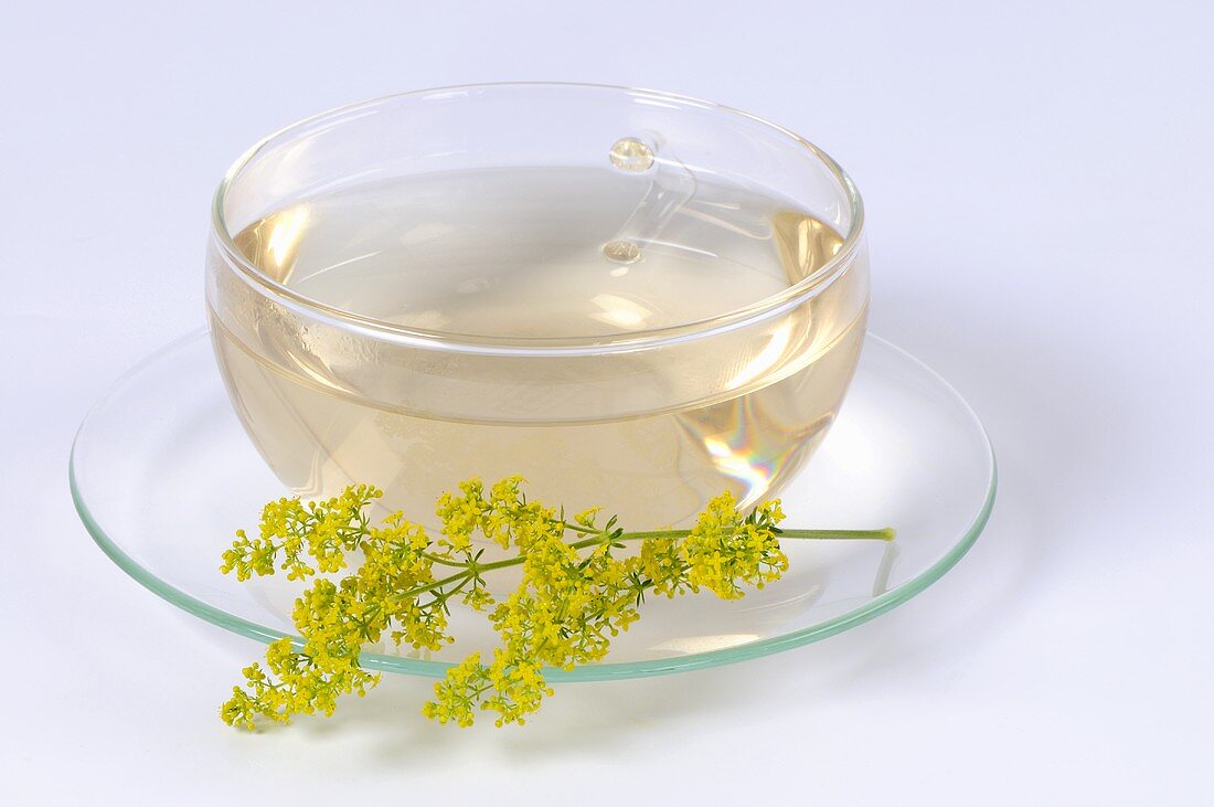 Lady's bedstraw tea in glass cup
