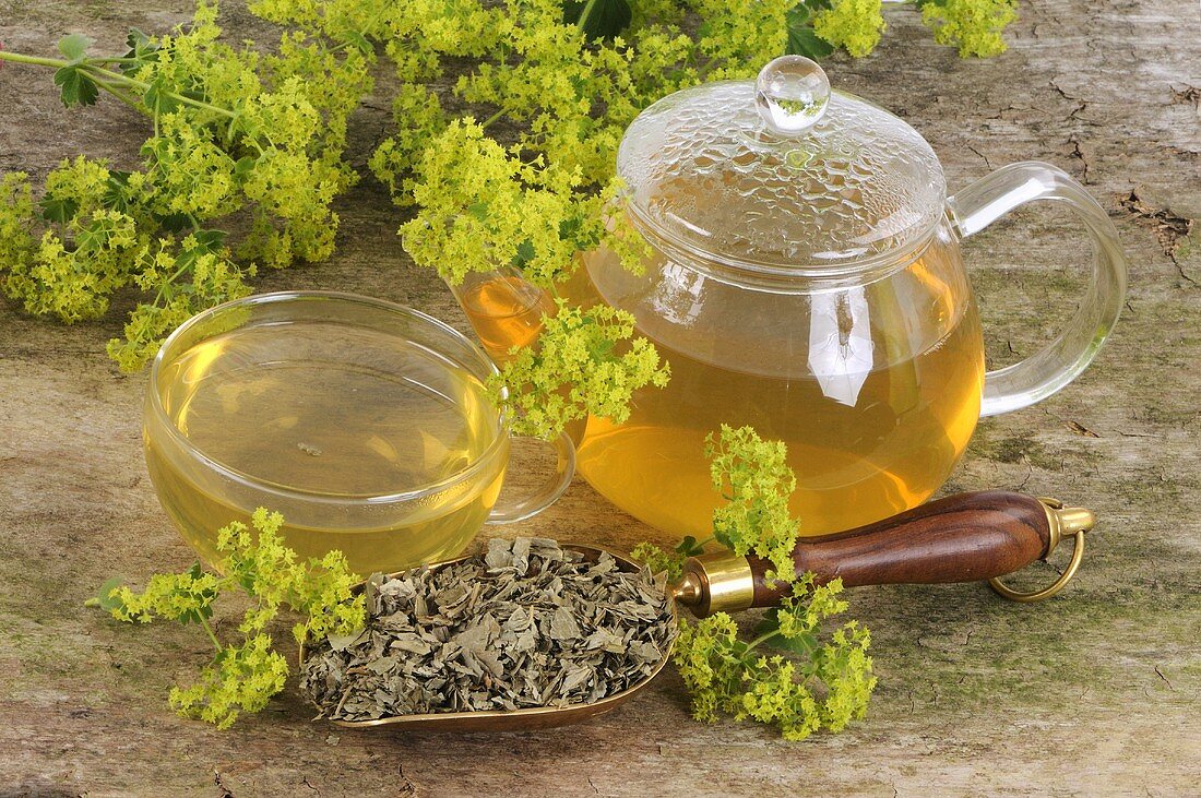 Lady's mantle tea, tea leaves and flowers