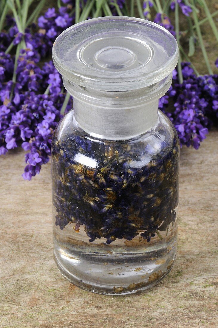 Lavender tincture in apothecary bottle, lavender flowers
