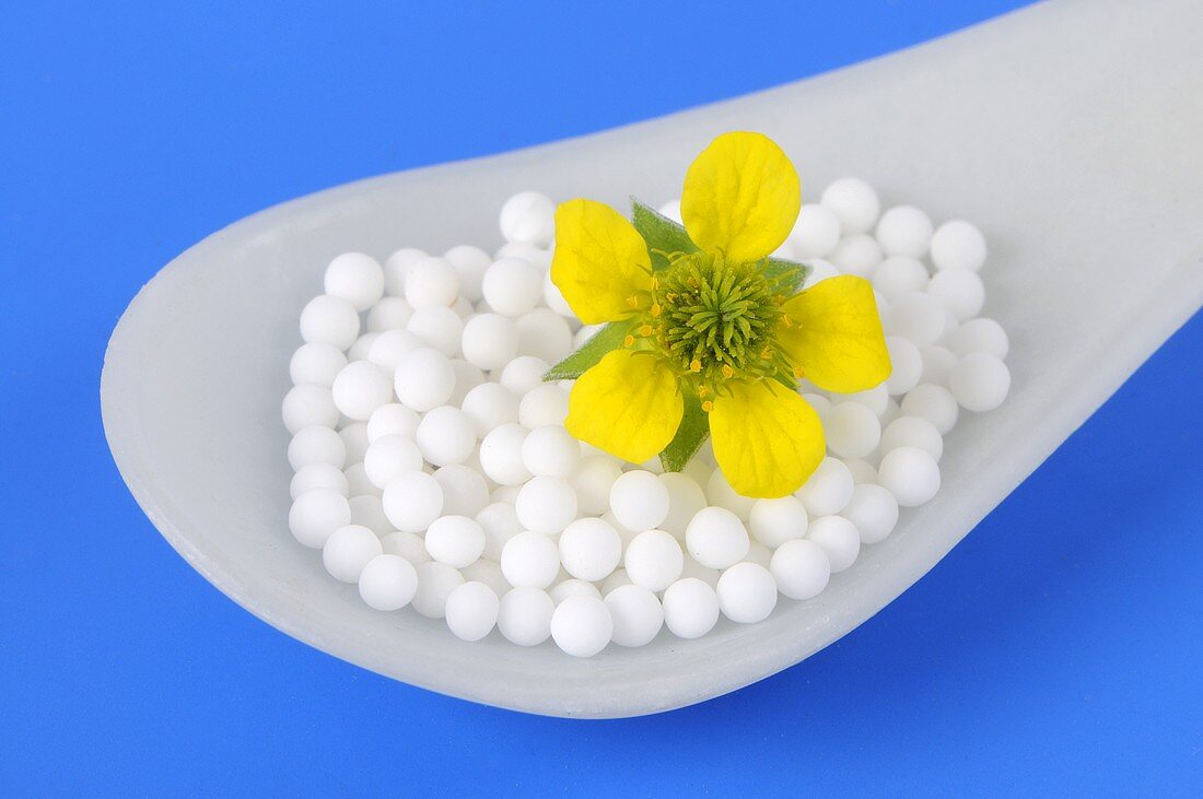 Herb bennet (flower and globuli (pellets))