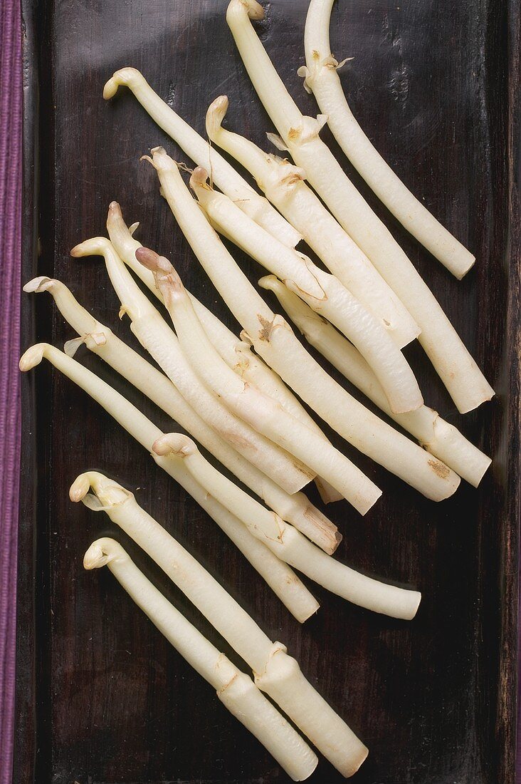 Young white asparagus