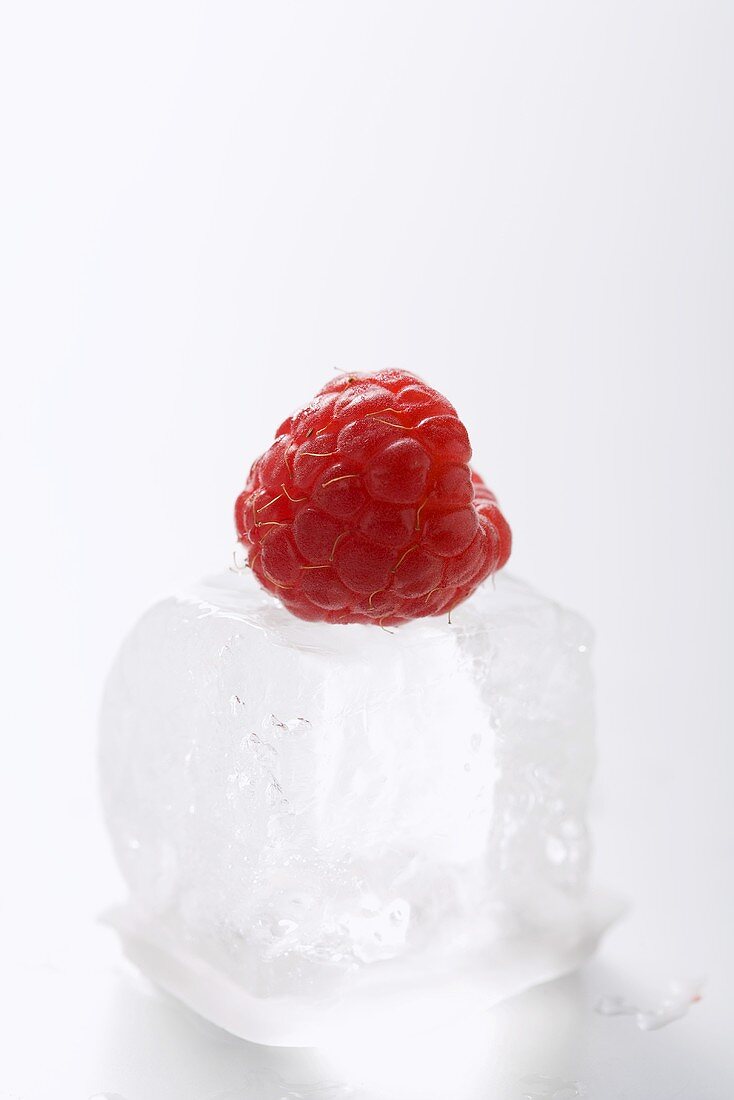 Raspberry on an ice cube