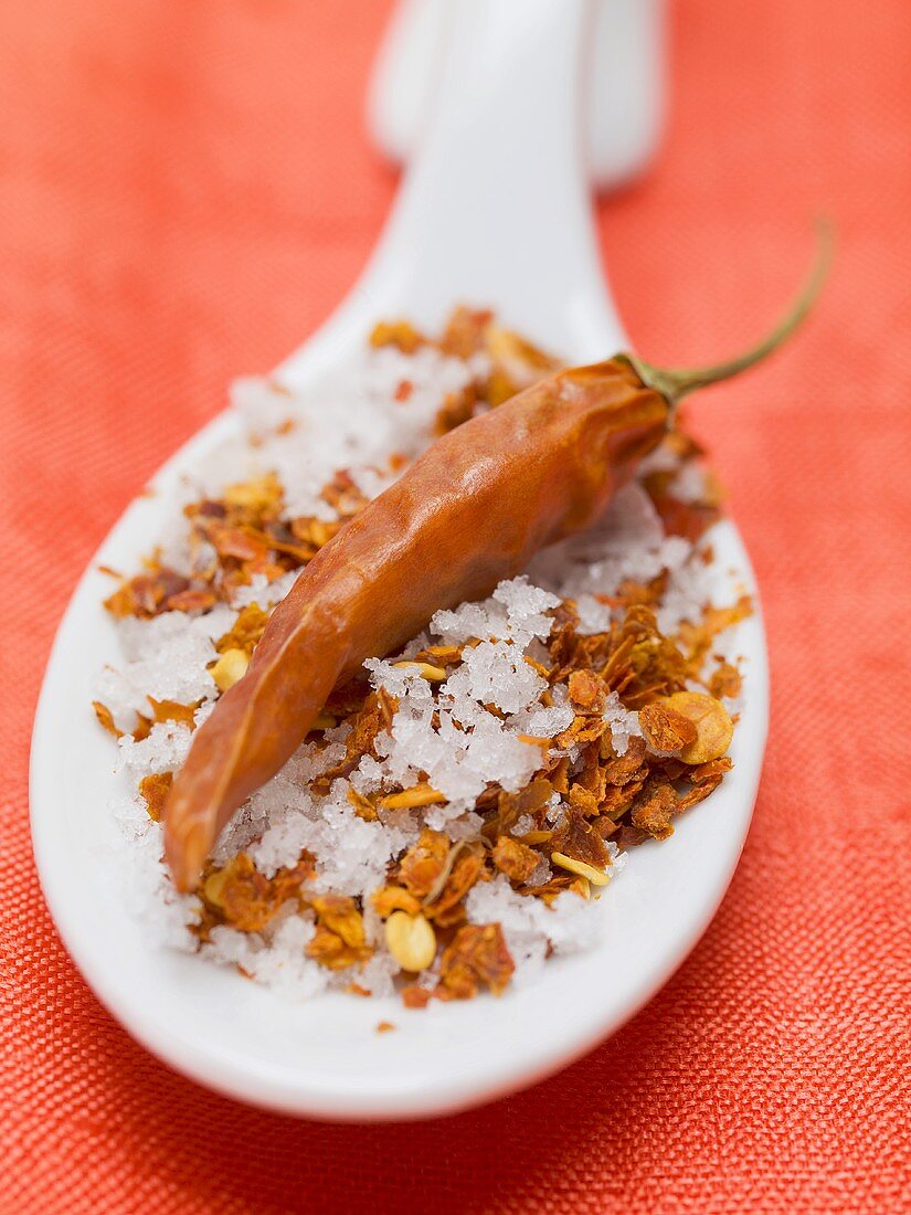 Chilli salt with dried chilli on spoon