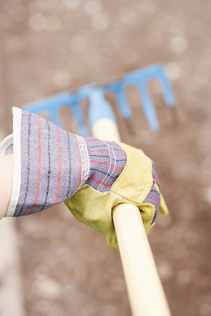 Hand mit Gartenhandschuh hält Rechen