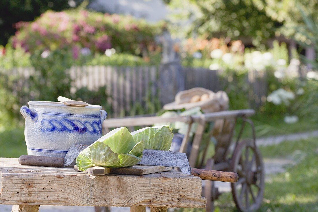 Rustic still life with cabbage in cottage garden