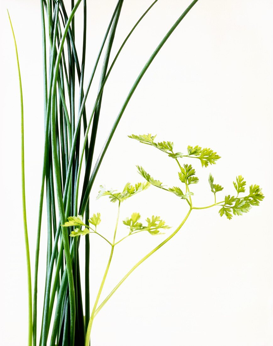 Chives and parsley