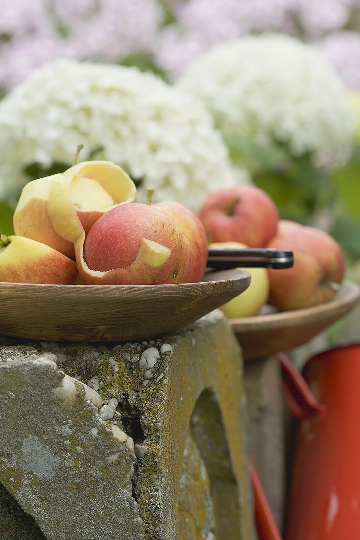 Fresh apples, one partly peeled, on a fence