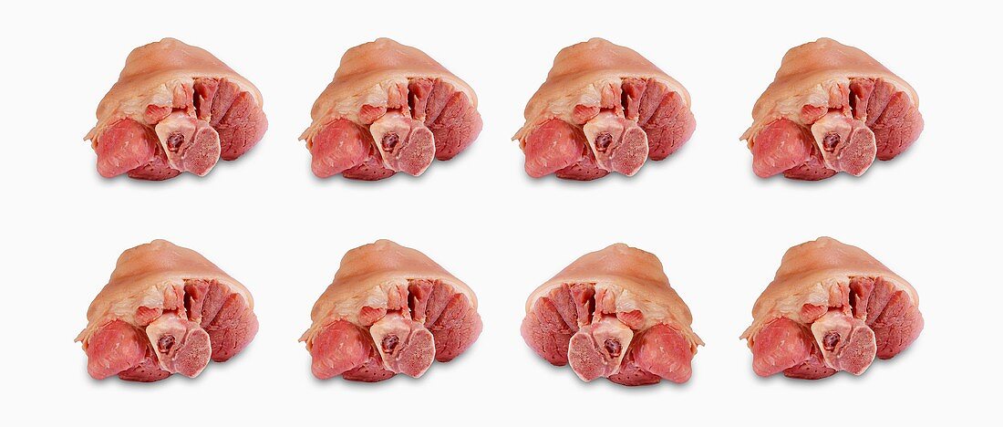 Eight raw knuckles of pork