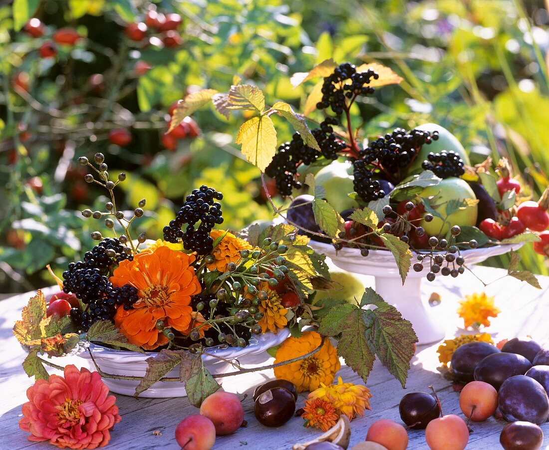 Zinnias, rose hips, blackberry shoots (Rubus), dogwood (Cornus)