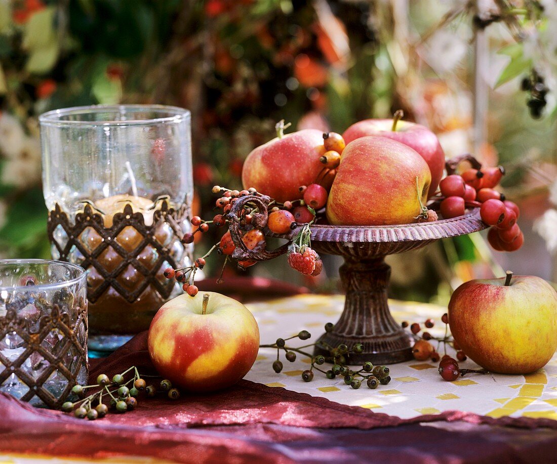 Fruit in iron bowl: apples & ornamental apples, rose hips