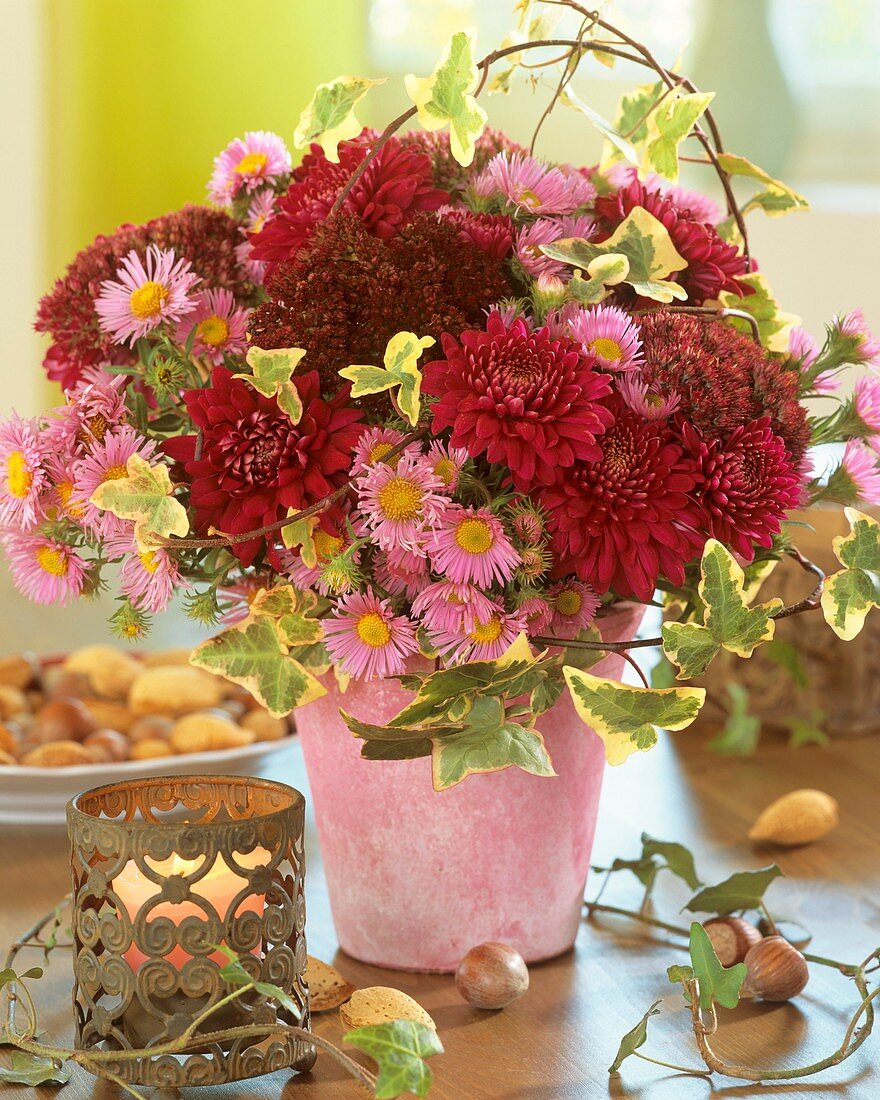 Arrangement of chrysanthemums, Michaelmas daisies and ivy