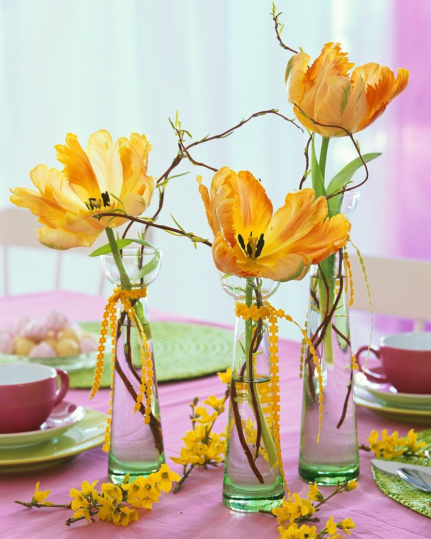 Flaschen mit Tulpen (Papageientulpen)