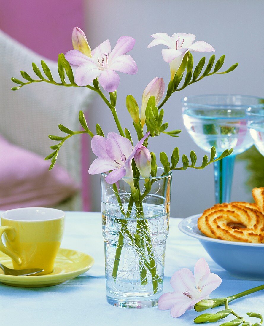 Freesias in glass standing on a table