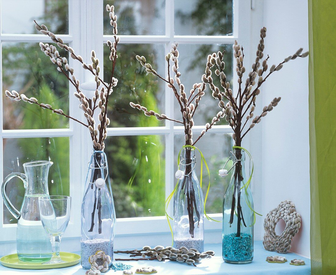 Pussy willow in glass bottles on window-sill