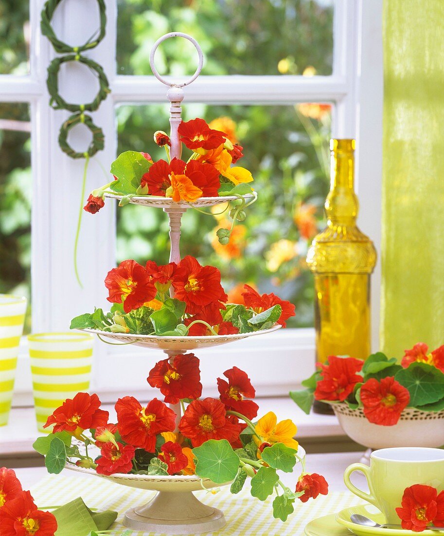 Red nasturtium flowers on a white tiered stand