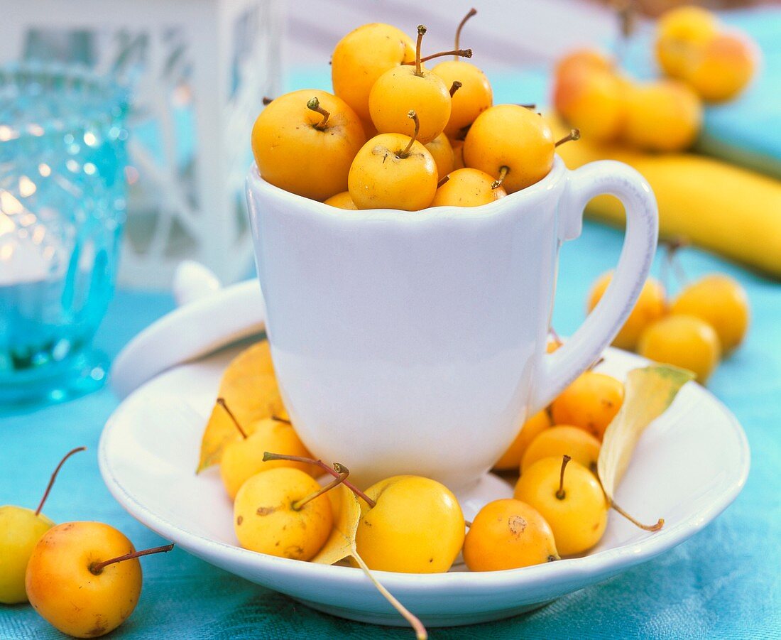 Yellow ornamental apples in a cup and saucer