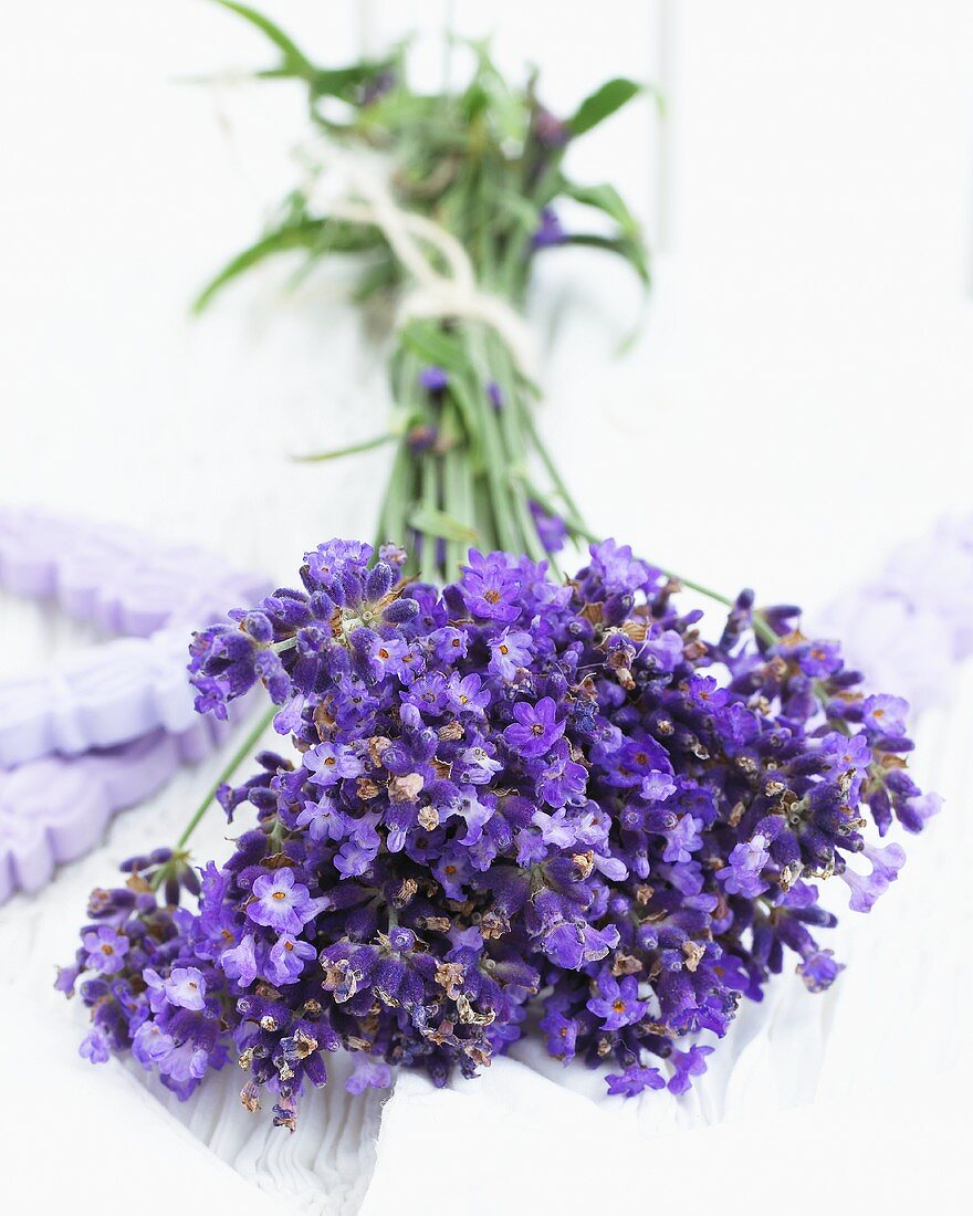 A bunch of flowering lavender