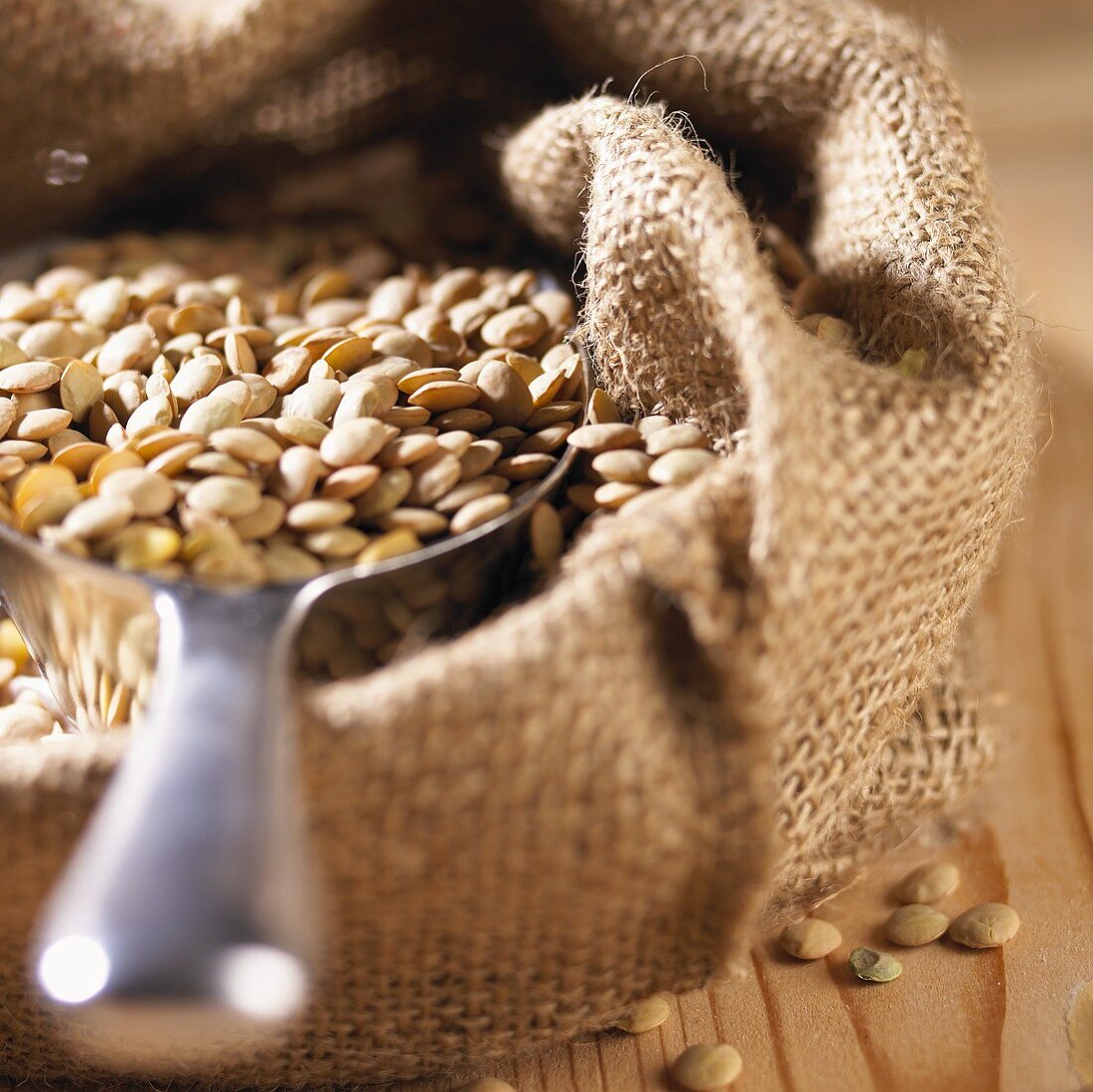 Brown lentils in jute sack with scoop